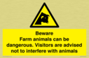 beware-farm-animals-can-be-dangerous-visitors-are-advised-not-to-interfere-with-~